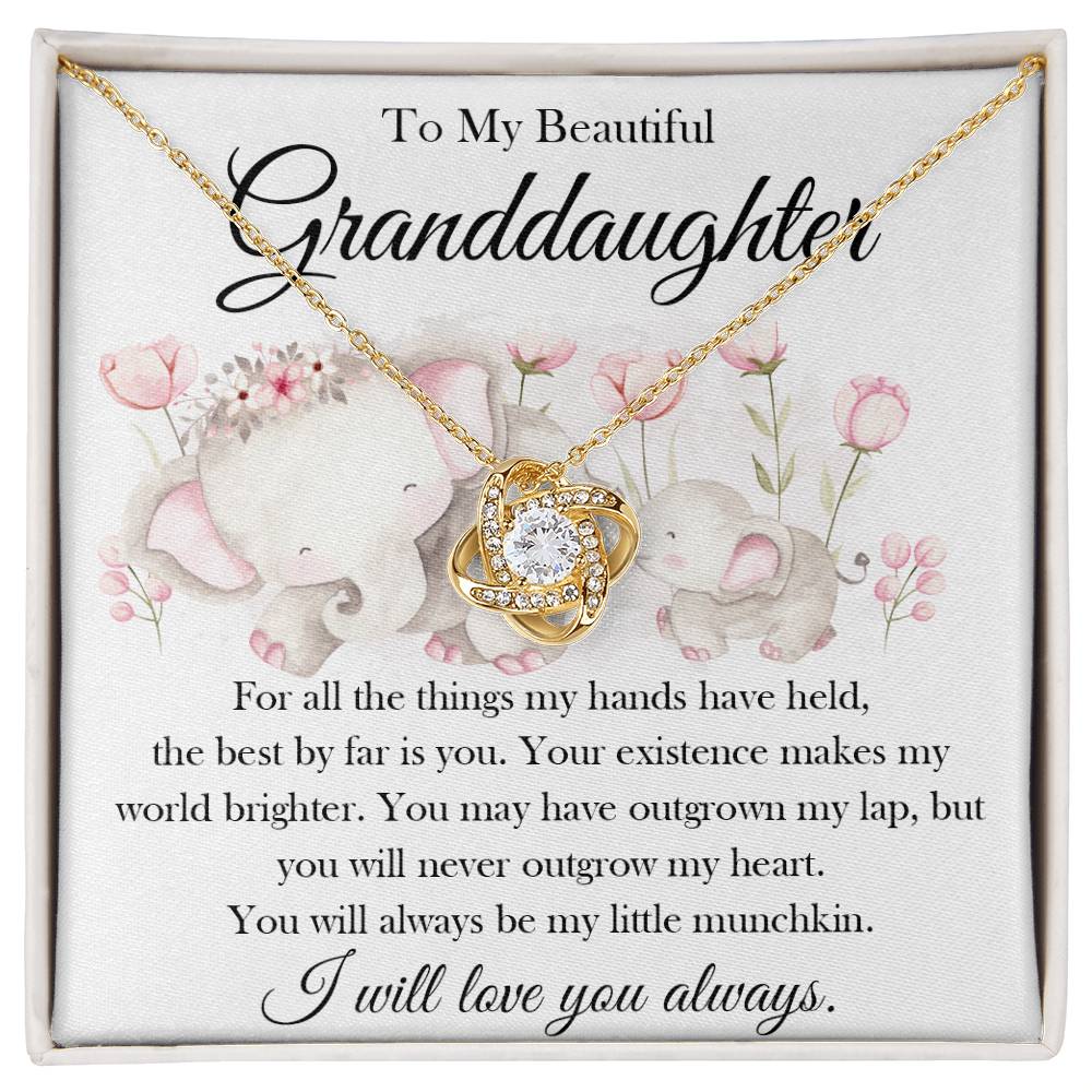 My Beautiful Granddaughter, My Little Munchkin