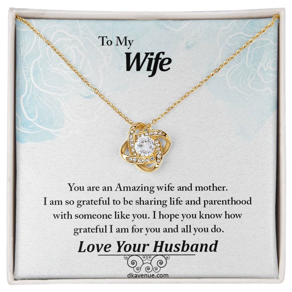 To My Wife An Amazing Wife And Mother Eternal Love Luxury Pendant Necklace