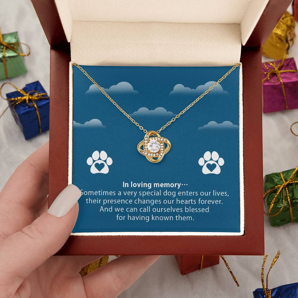Necklace to Pet’s Memory – Blessed to have known you - Remembrance Day