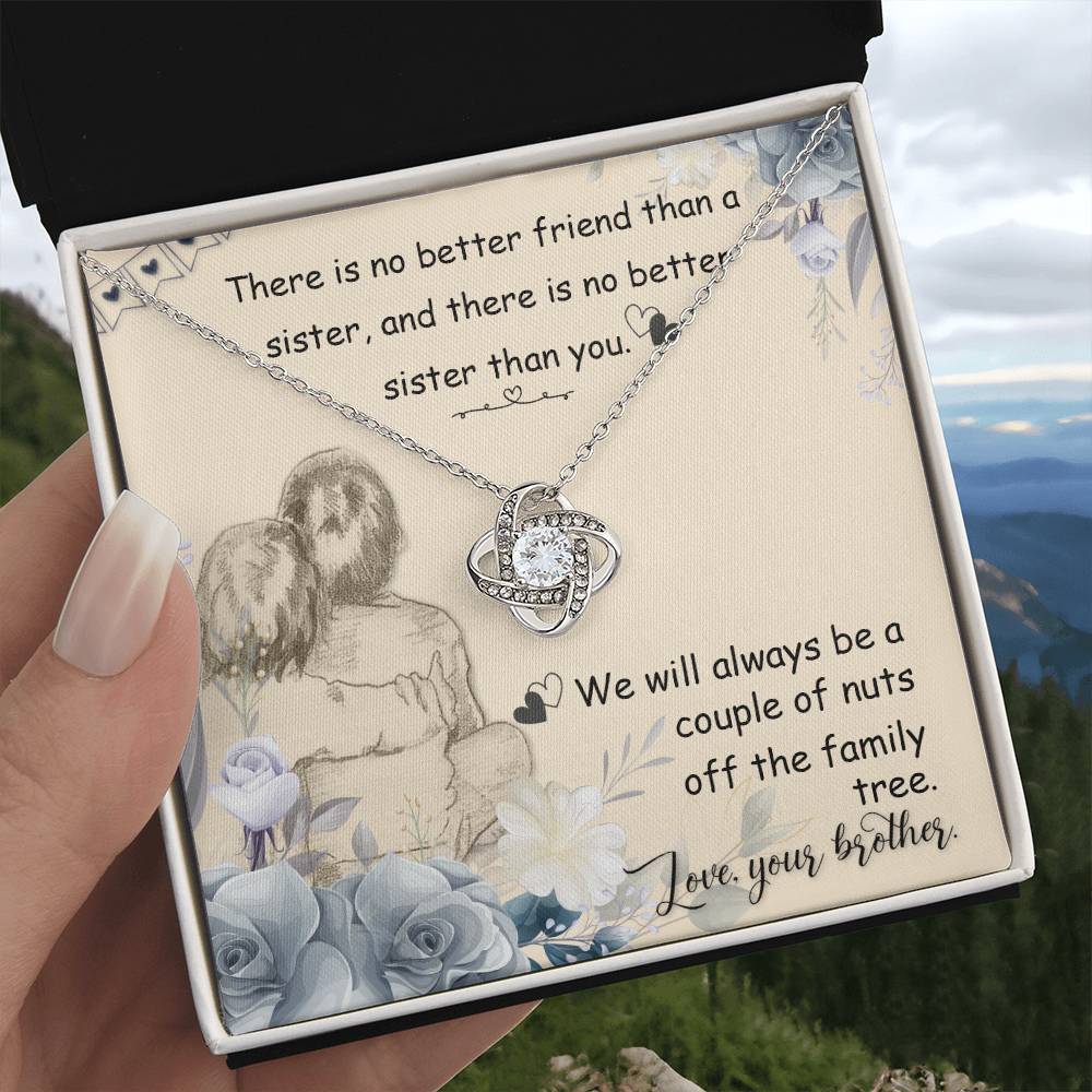 To My Sister from your Brother - Always a Couple of Nuts Together on Christmas