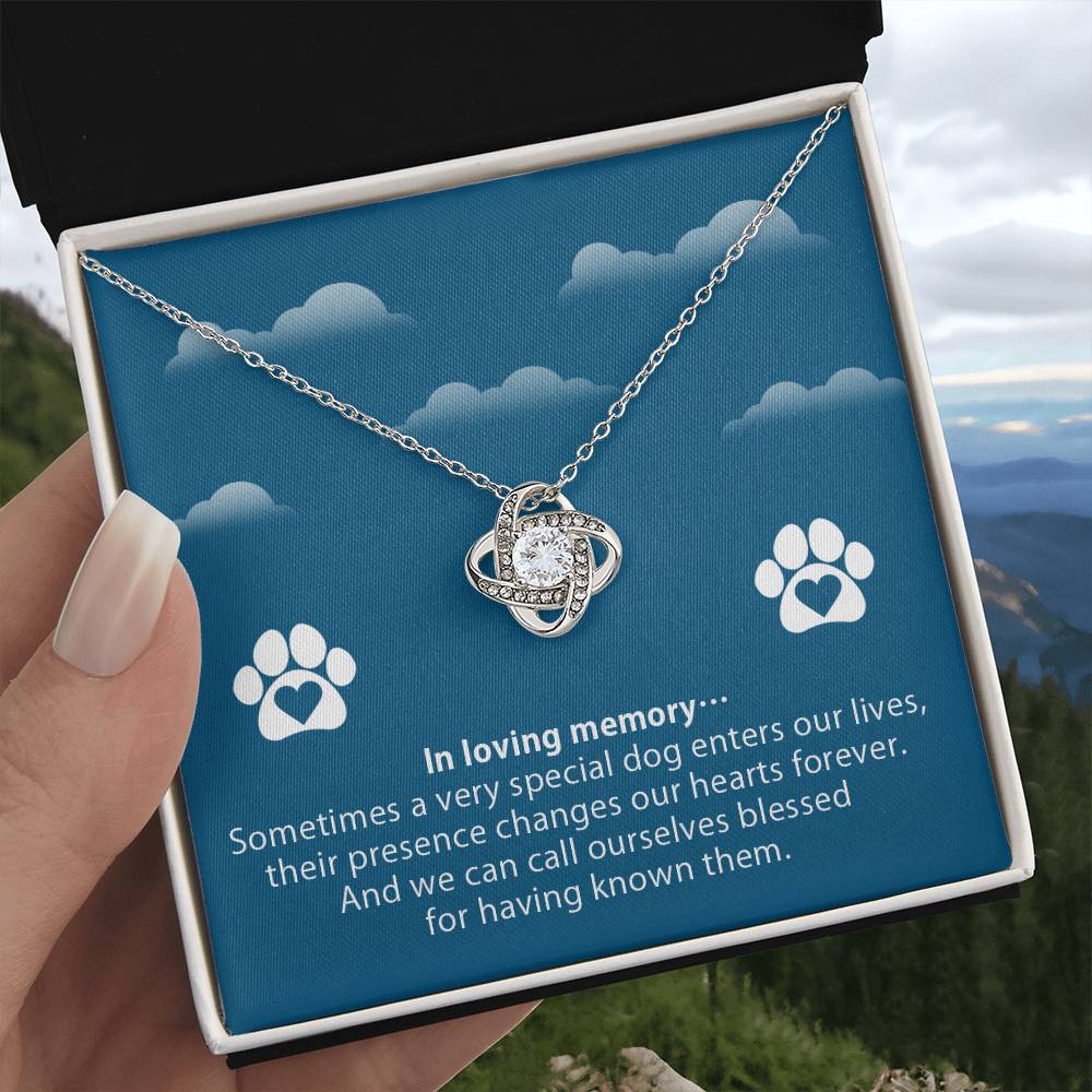 Necklace to Pet’s Memory – Blessed to have known you - Remembrance Day