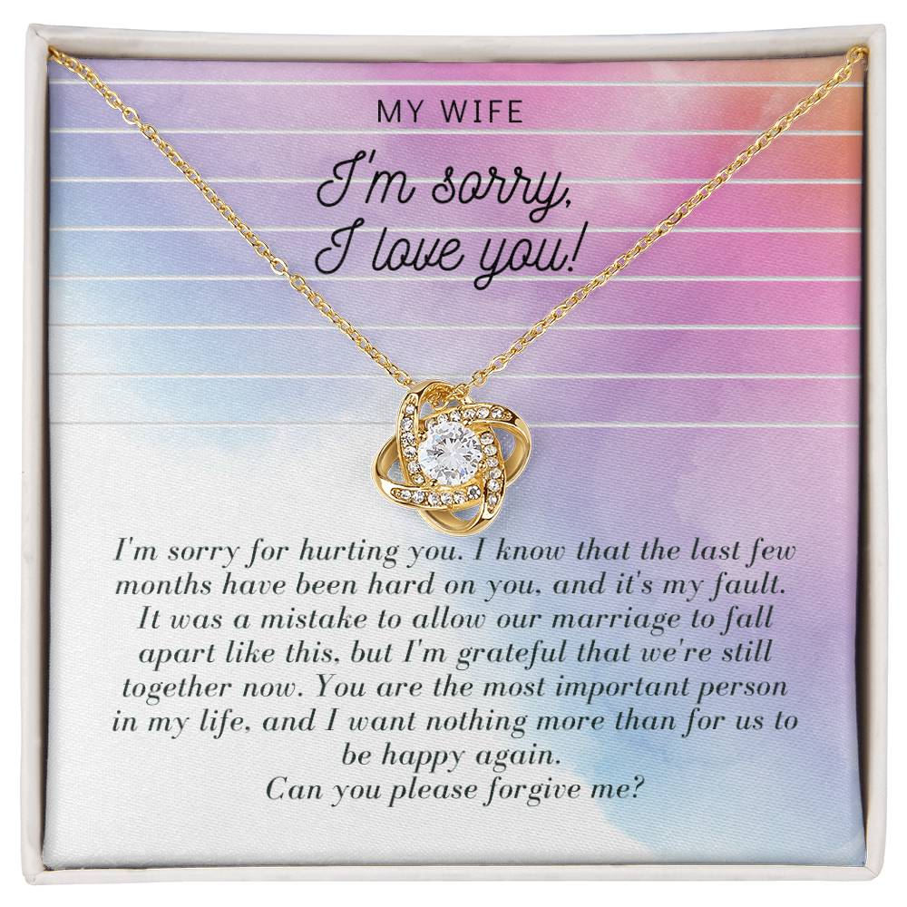 Apology Gift for Wife From Guilty Husband