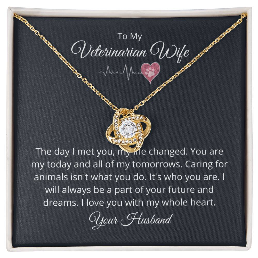 Necklace to My Veterinarian Wife – You are my today and all of my tomorrows - Anniversary