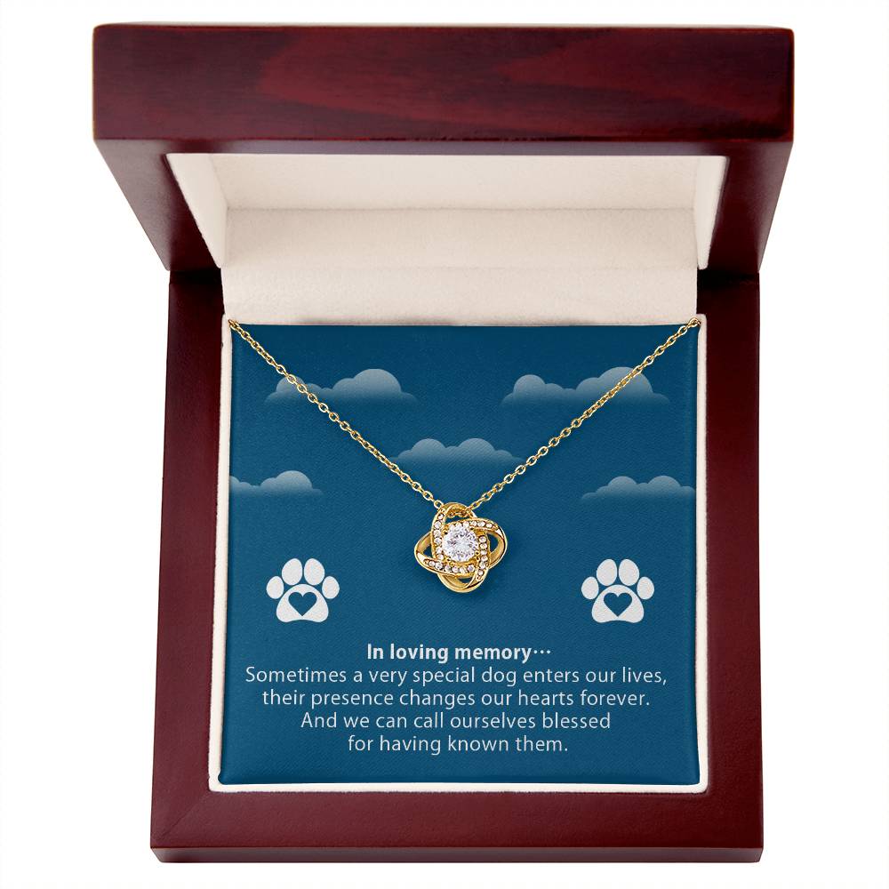 Necklace to Pet’s Memory – Blessed to have known you - Remembrance Day