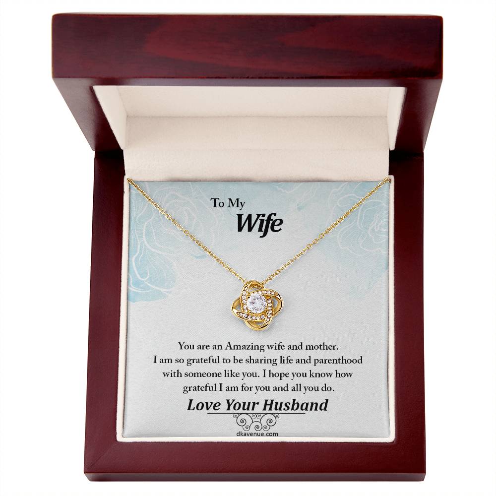 To My Wife An Amazing Wife And Mother Eternal Love Luxury Pendant Necklace