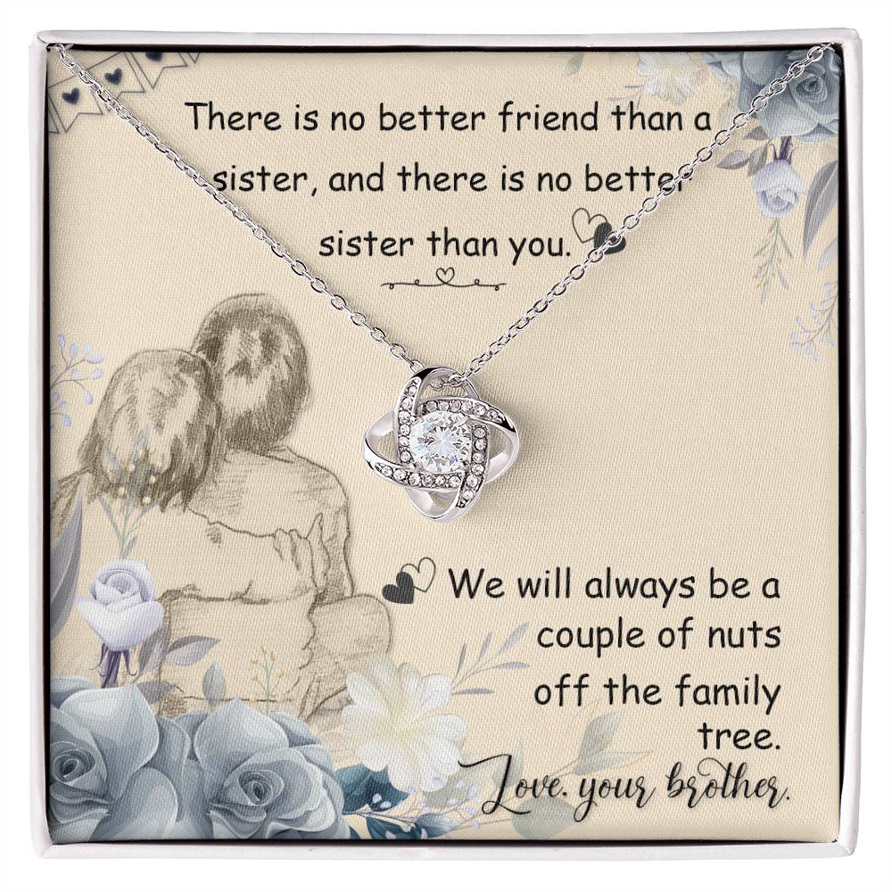 To My Sister from your Brother - Always a Couple of Nuts Together on Christmas