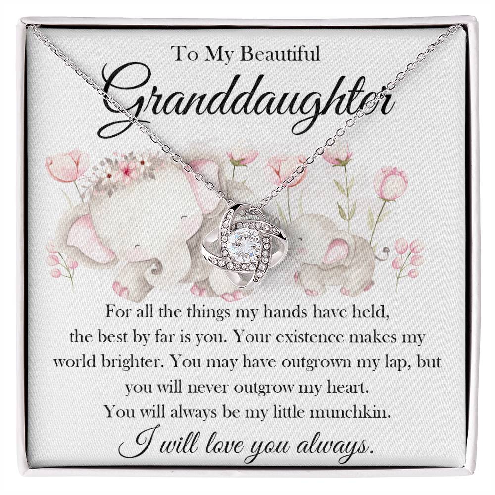 My Beautiful Granddaughter, My Little Munchkin