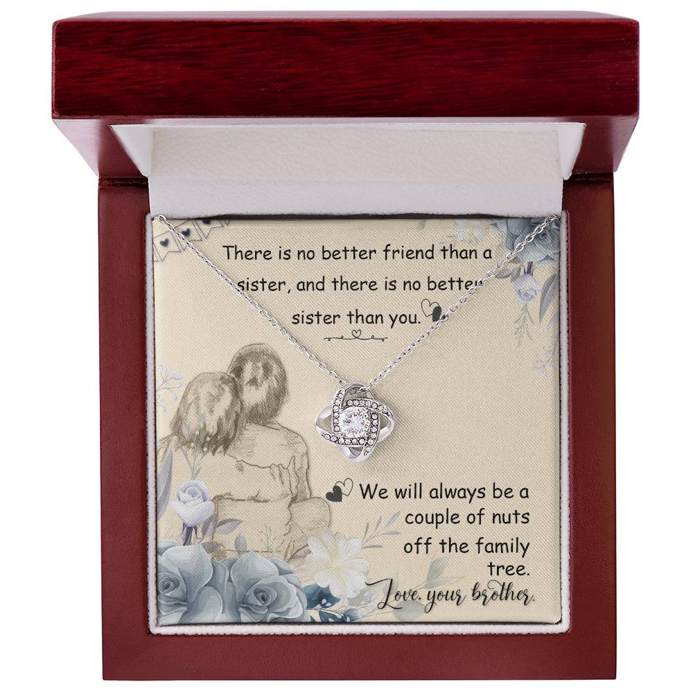 To My Sister from your Brother - Always a Couple of Nuts Together on Christmas