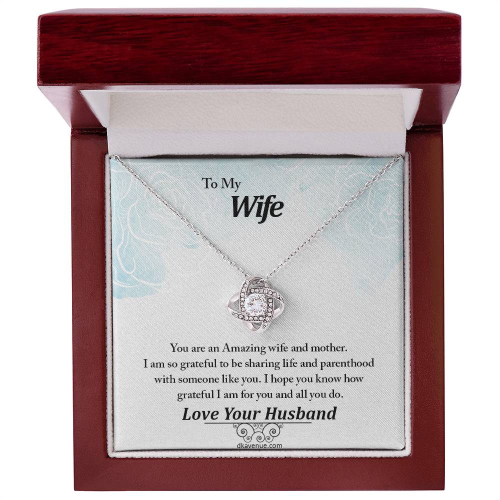 To My Wife An Amazing Wife And Mother Eternal Love Luxury Pendant Necklace
