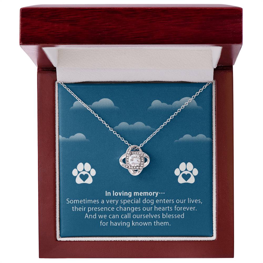 Necklace to Pet’s Memory – Blessed to have known you - Remembrance Day