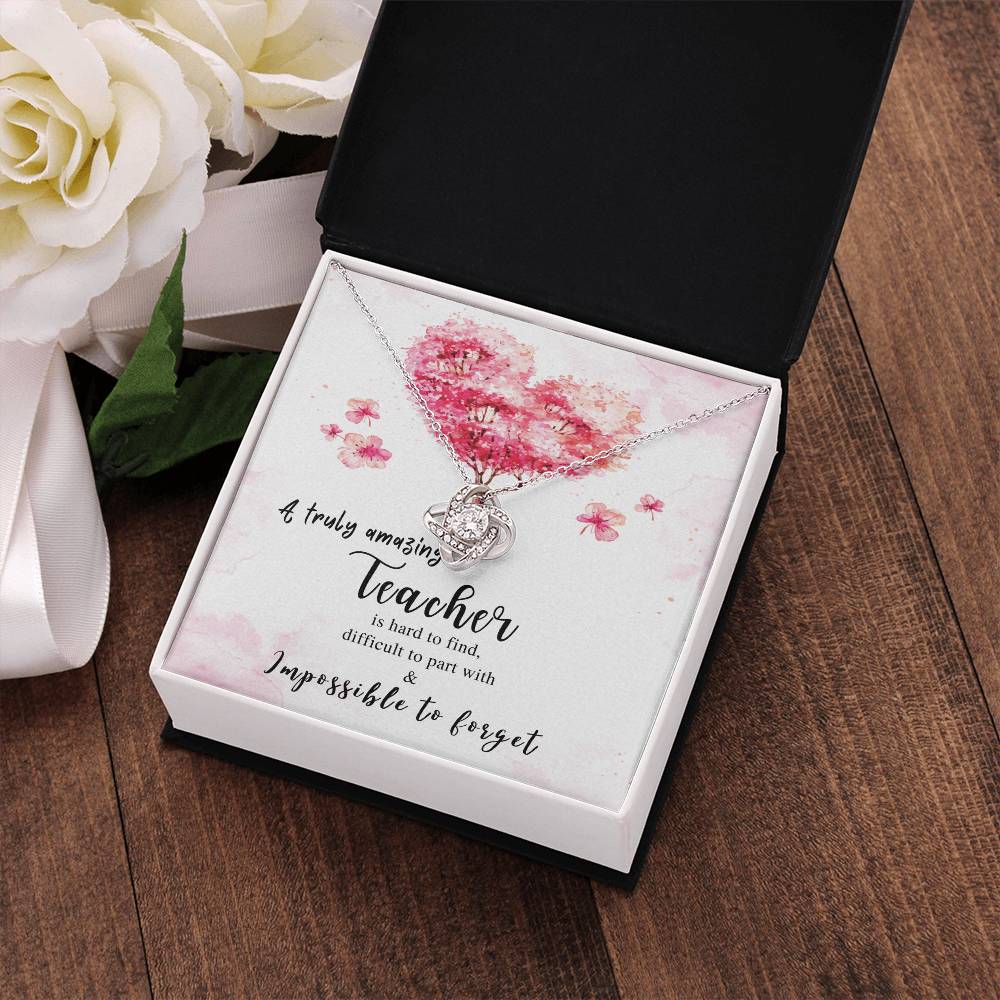Teacher Gift | Gift for Teacher Necklace | a Truly Amazing Teacher Appreciation Gift