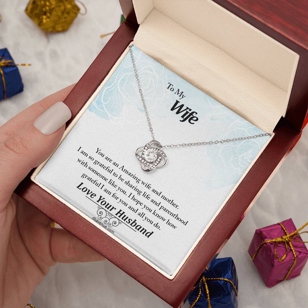 To My Wife An Amazing Wife And Mother Eternal Love Luxury Pendant Necklace
