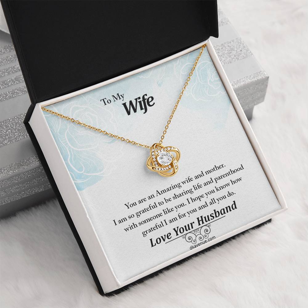 To My Wife An Amazing Wife And Mother Eternal Love Luxury Pendant Necklace