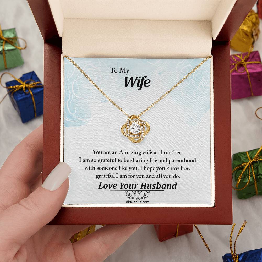 To My Wife An Amazing Wife And Mother Eternal Love Luxury Pendant Necklace