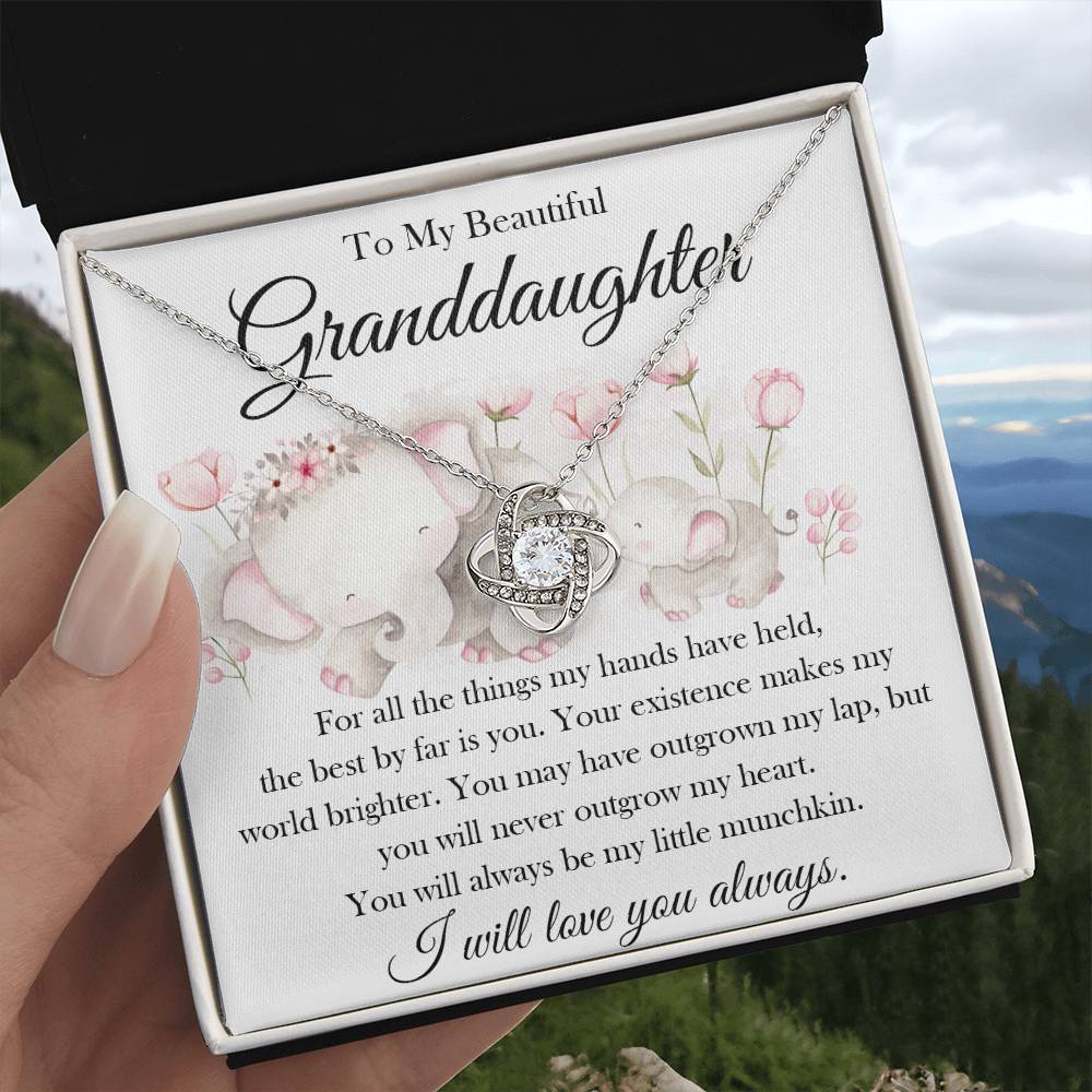 My Beautiful Granddaughter, My Little Munchkin